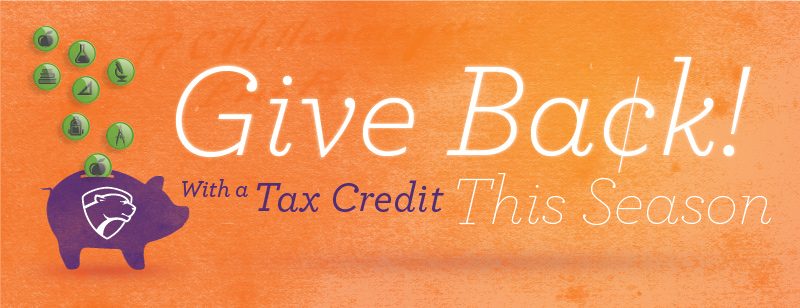 AZ School Tax Credit piggy bank with text